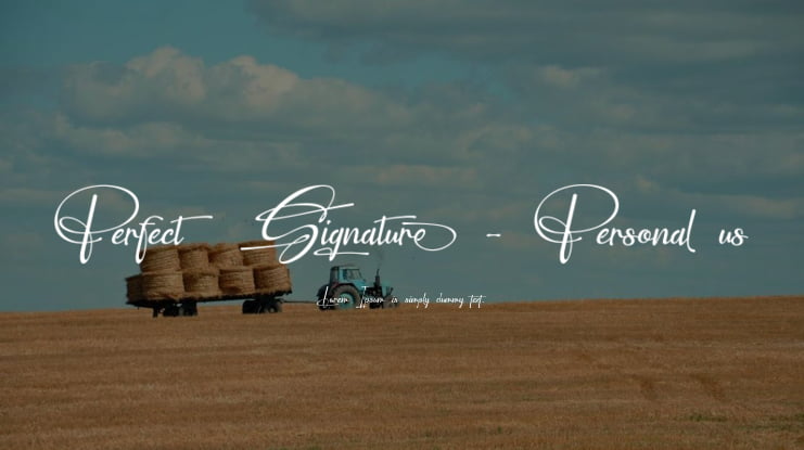 Perfect Signature - Personal us Font