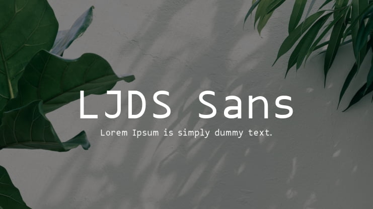 LJDS Sans Font Family