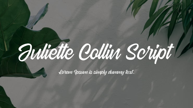 Juliette Collin Script Font