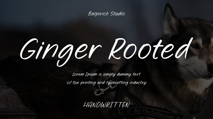 Ginger Rooted Font