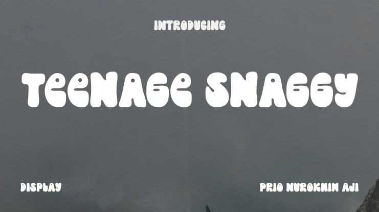 Teenage Snaggy Font