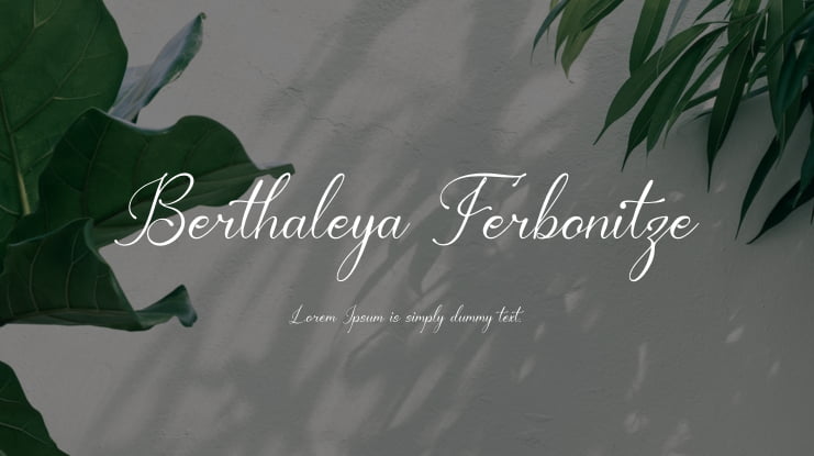 Berthaleya Ferbonitze Font