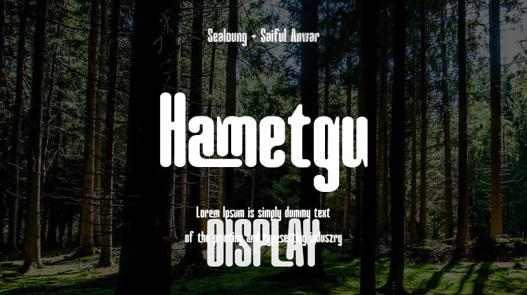 Hametgu Font