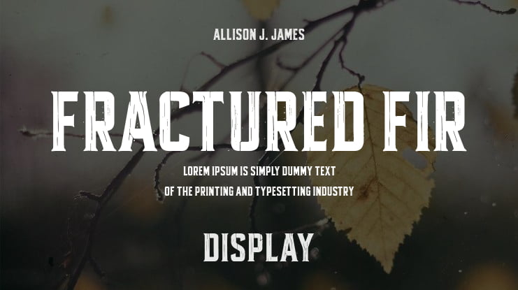 Fractured Fir Font : Download Free for Desktop & Webfont