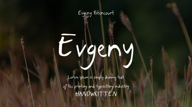 Evgeny Font Family