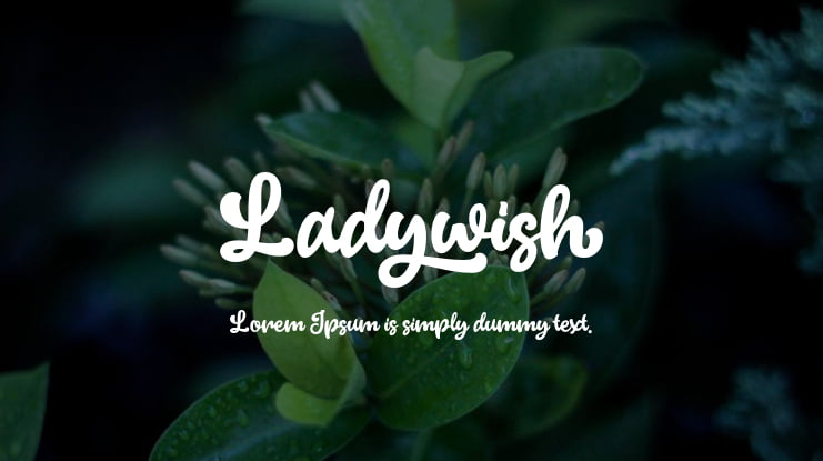 Ladywish Font