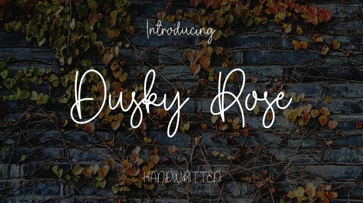 Dusky Rose Font