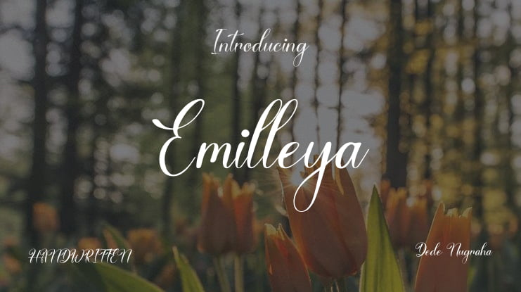 Emilleya Font