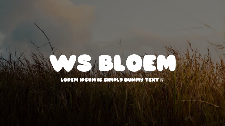 Ws Bloem Font