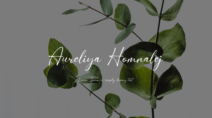 Aureliya Homnalej Font