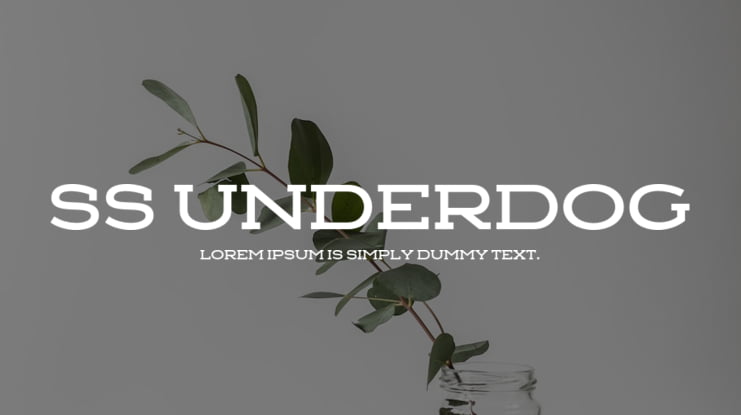 SS Underdog Font