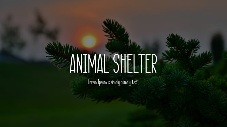 ANIMAL SHELTER Font