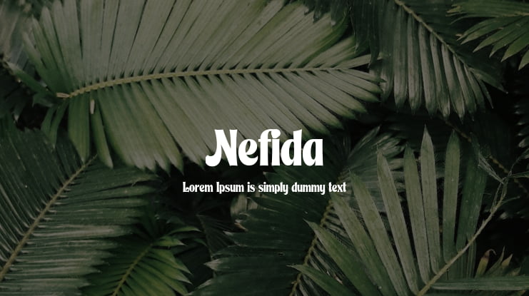 Nefida Font