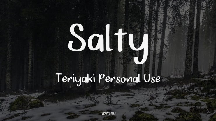 Salty Teriyaki Personal Use Font