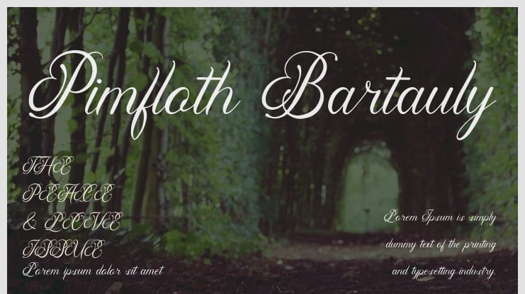 Pimfloth Bartauly Font