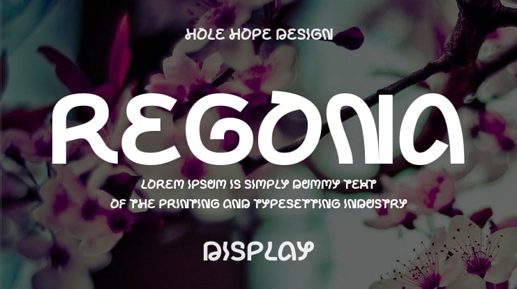 Regona Font