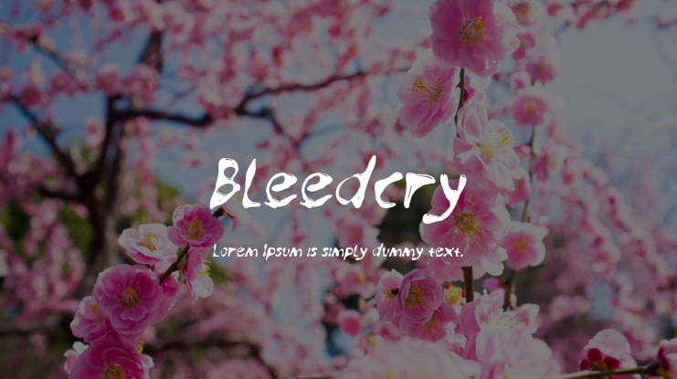 Bleedcry Font