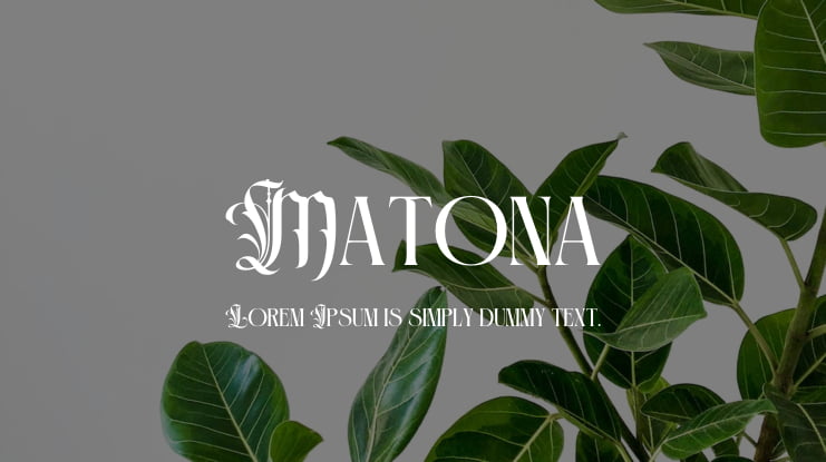 Matona Font