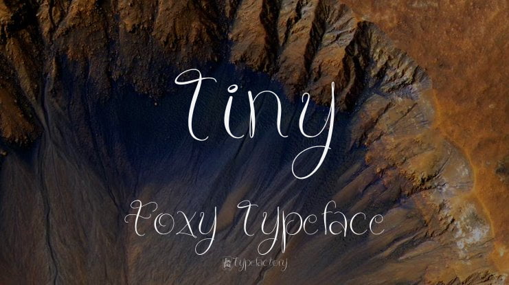 Tiny Foxy Font