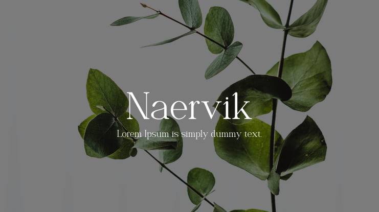 Naervik Font