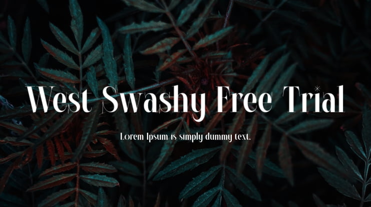 West Swashy Free Trial Font