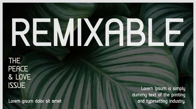 REMIXABLE Font