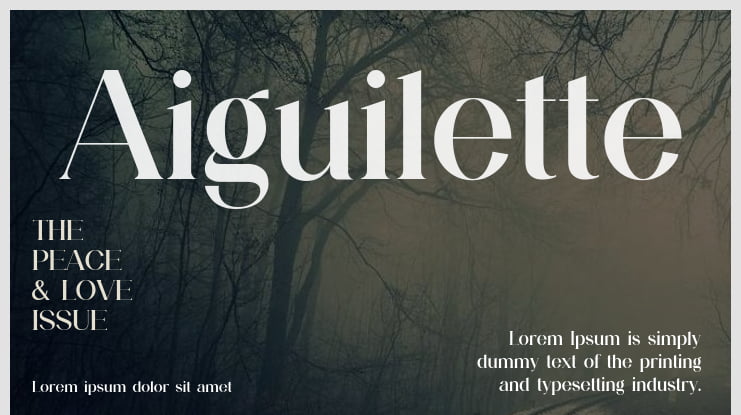 Aiguilette Font