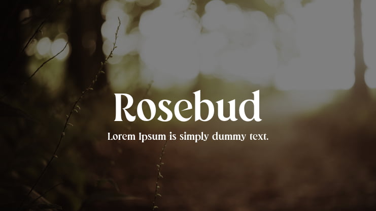 Rosebud Font