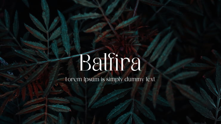 Balfira Font