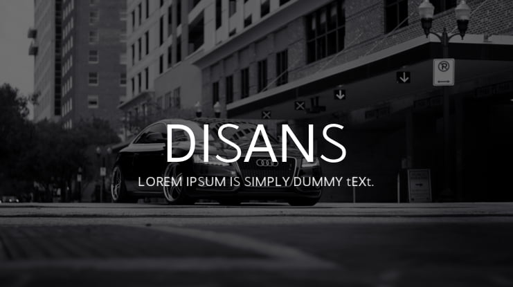Disans Font