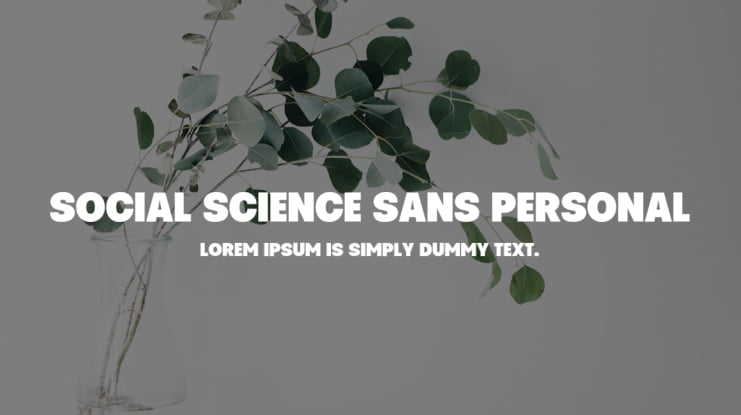 Social Science Sans PERSONAL Font