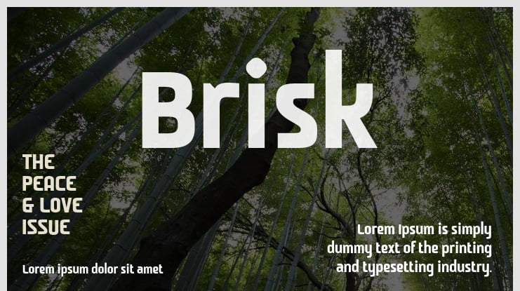 Brisk Font