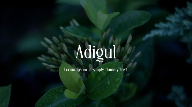 Adigul Font