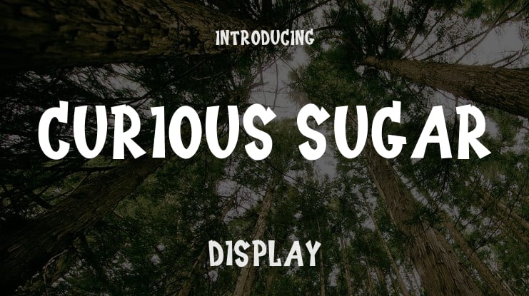 Curious Sugar Font