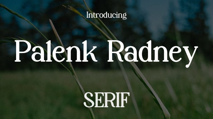 Palenk Radney Font