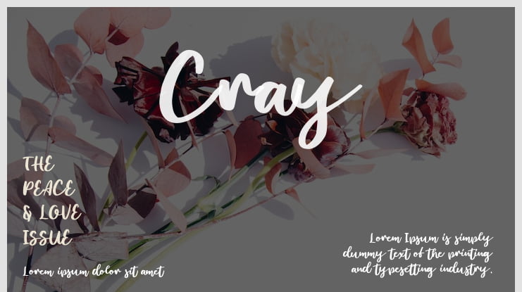 Cray Font