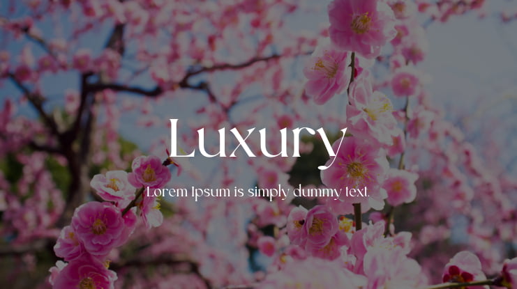 Luxury Font