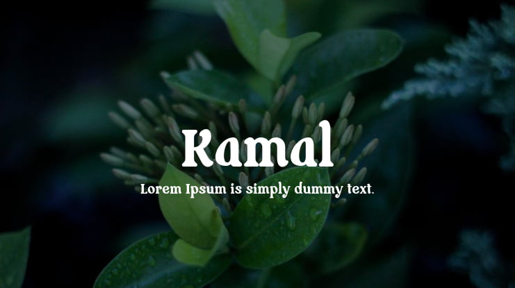 Kamal Font