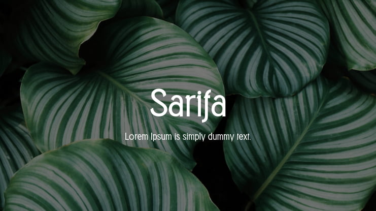 Sarifa Font