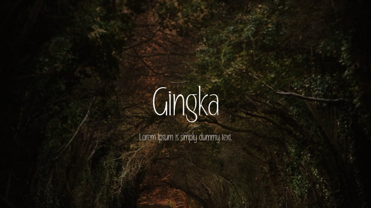 Gingka Font