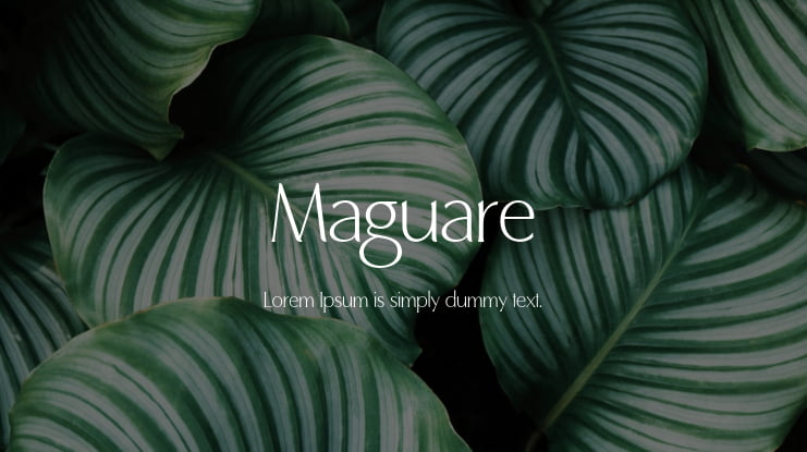 Maguare Font