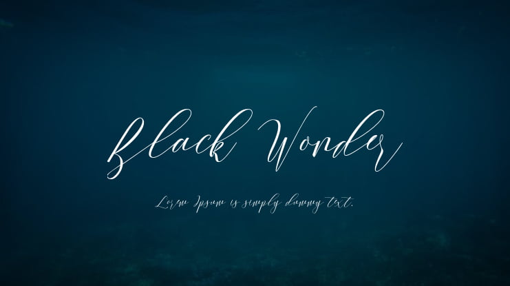 Black Wonder Font