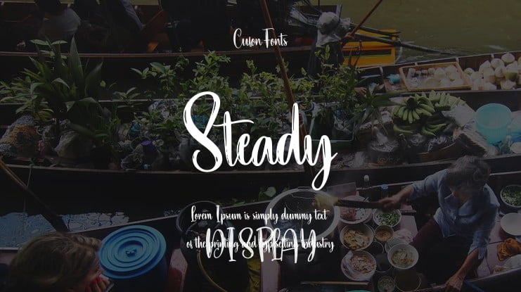 Steady Font