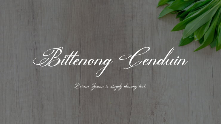 Bittenong Cenduin Font