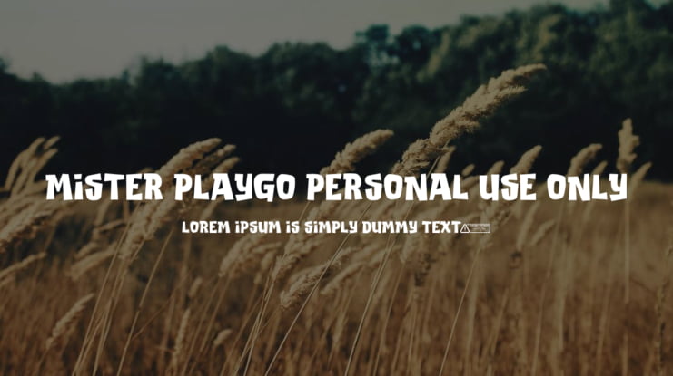 Mister Playgo PERSONAL USE ONLY Font