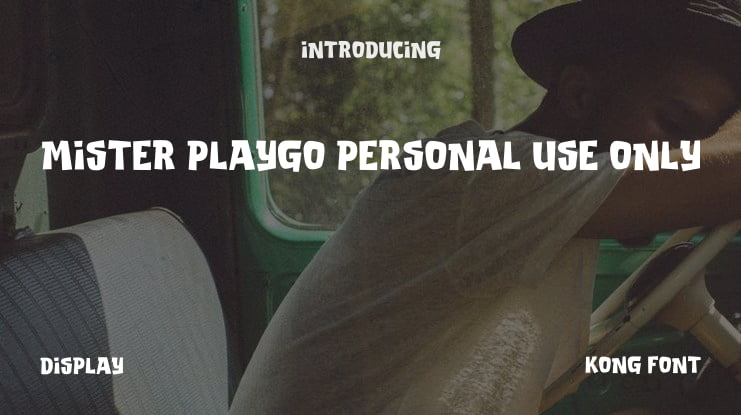 Mister Playgo PERSONAL USE ONLY Font