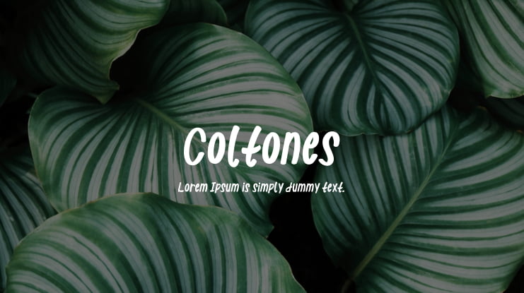 Coltones Font