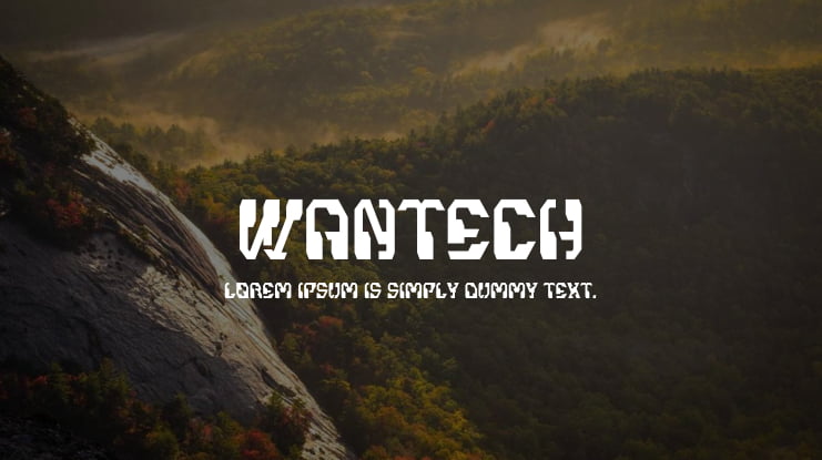 Wantech Font