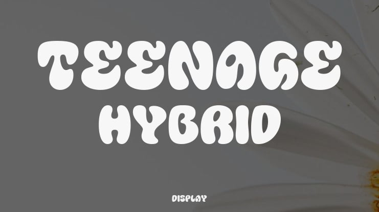 Teenage Hybrid Font