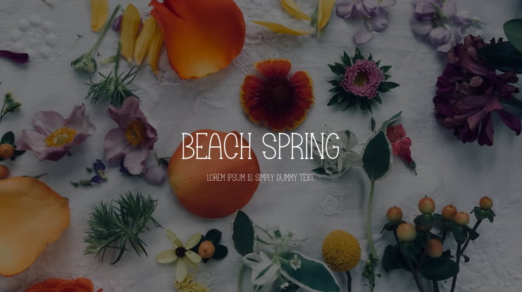 Beach Spring Font